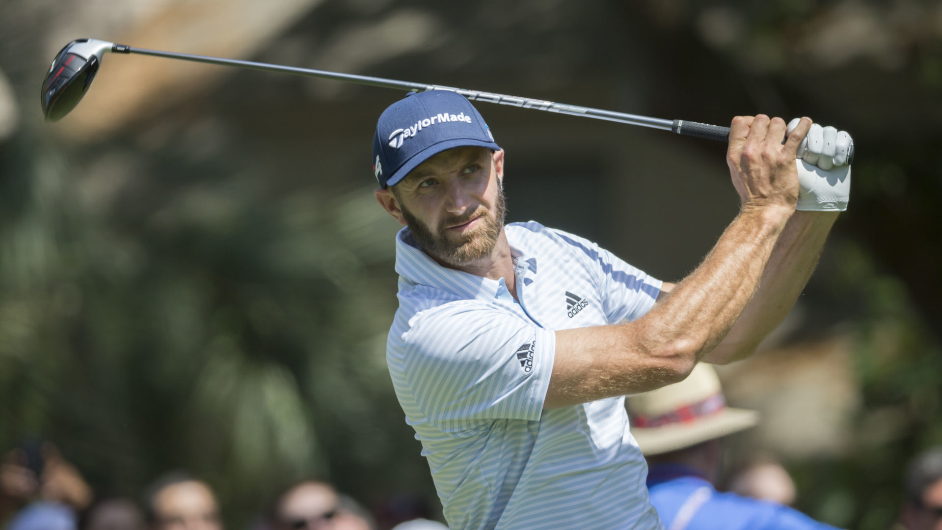 RBC Heritage Golf